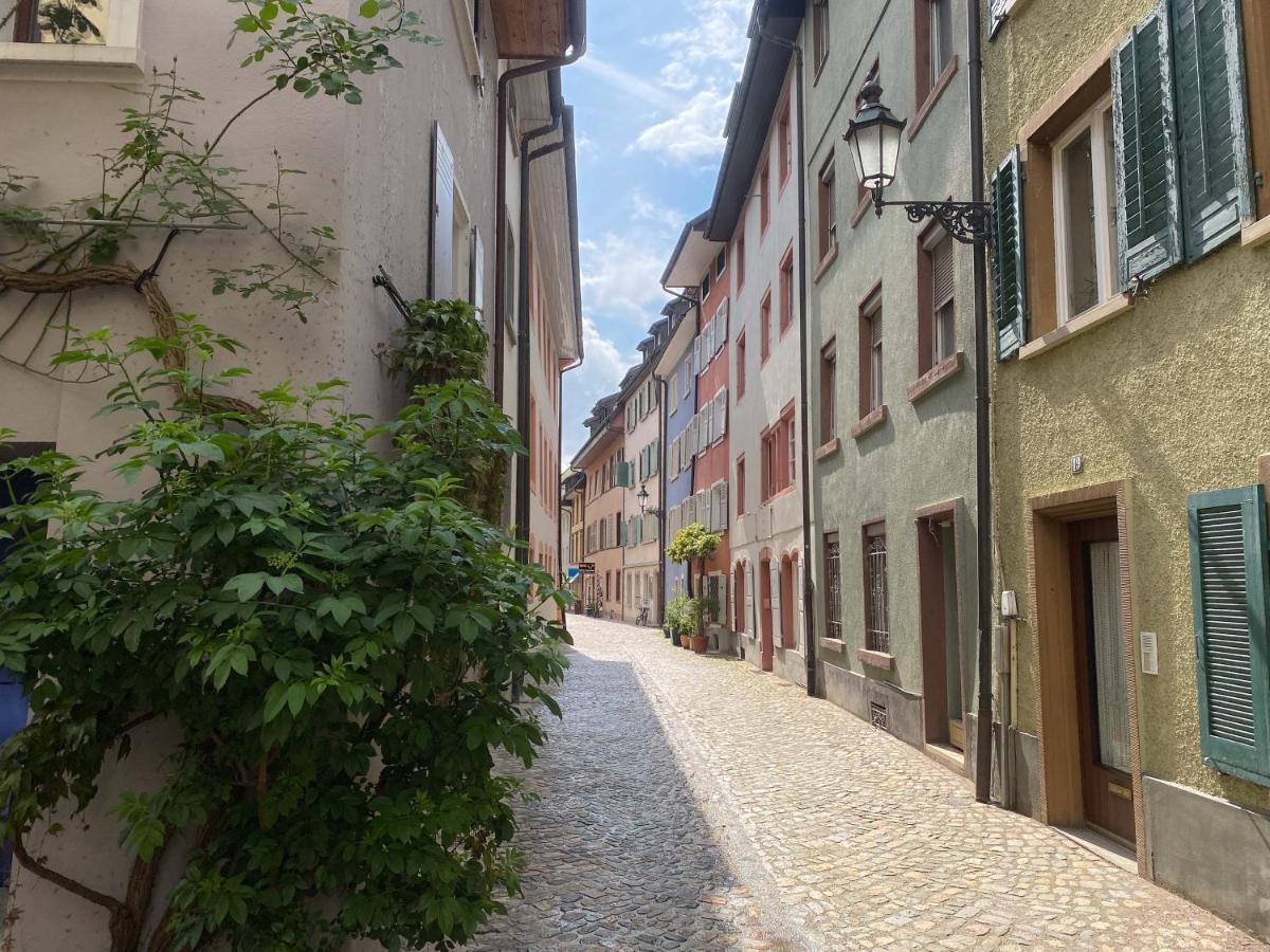 Neues Design-Apartment, Altstadt, Business&Ferien, Kueche, Netflix Bad Säckingen Esterno foto