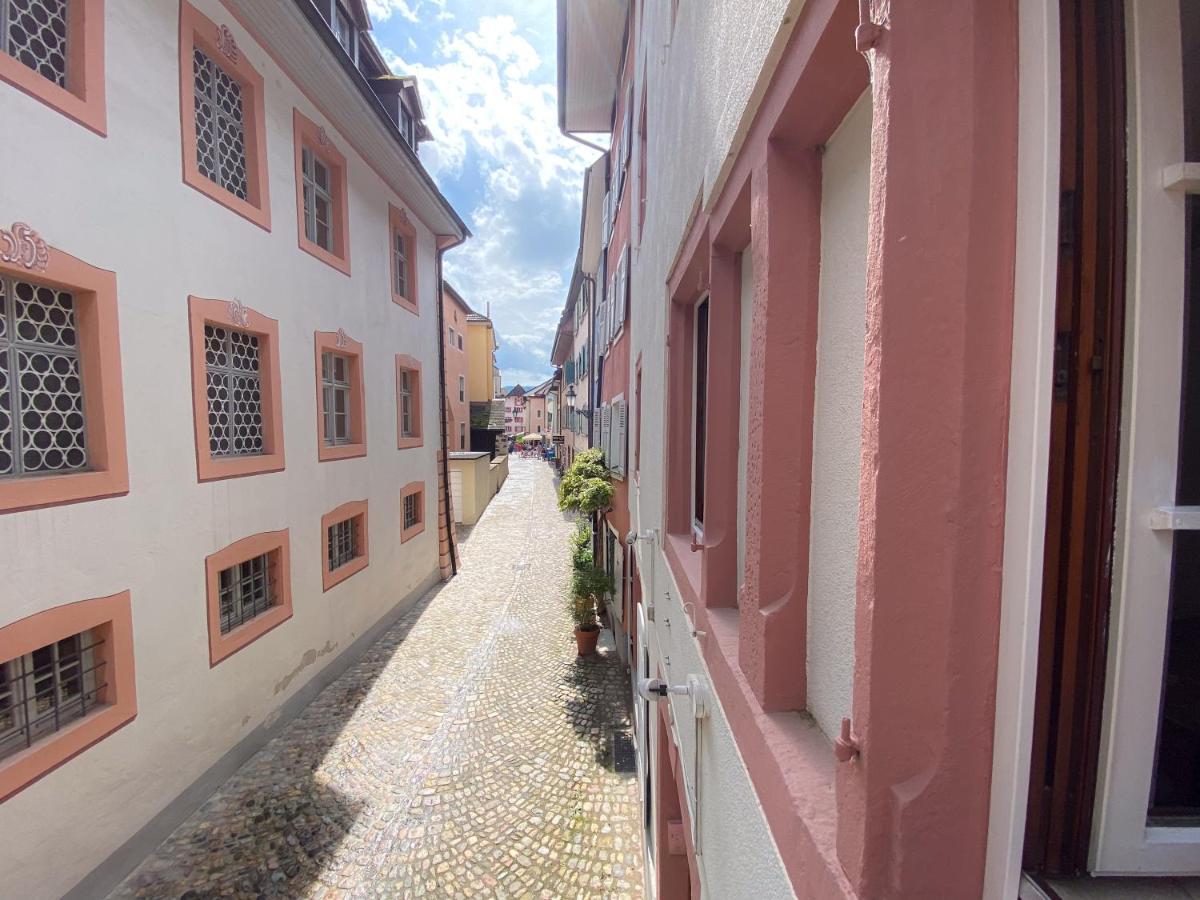 Neues Design-Apartment, Altstadt, Business&Ferien, Kueche, Netflix Bad Säckingen Esterno foto